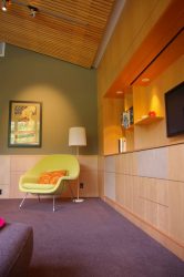 Paredes modernas na sala de estar (370+ Photos): Modern room style