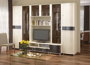 Paredes modernas na sala de estar (370+ Photos): Modern room style