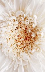 Como fazer flores de papel ondulado com doces com as próprias mãos? Master class +75 Fotos de buquês de luxo