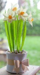 Como fazer flores de papel ondulado com doces com as próprias mãos? Master class +75 Fotos de buquês de luxo