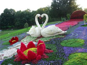 Um catálogo de flores para o país (240 + Foto com os nomes): Todas as regras para criar uma beleza incrível