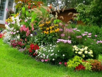 Um catálogo de flores para o país (240 + Foto com os nomes): Todas as regras para criar uma beleza incrível