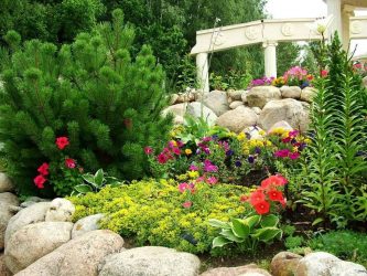 Um catálogo de flores para o país (240 + Foto com os nomes): Todas as regras para criar uma beleza incrível