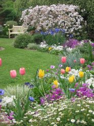 Um catálogo de flores para o país (240 + Foto com os nomes): Todas as regras para criar uma beleza incrível