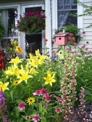 Um catálogo de flores para o país (240 + Foto com os nomes): Todas as regras para criar uma beleza incrível