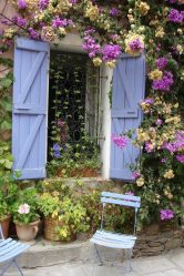 Um catálogo de flores para o país (240 + Foto com os nomes): Todas as regras para criar uma beleza incrível