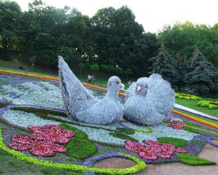 Um catálogo de flores para o país (240 + Foto com os nomes): Todas as regras para criar uma beleza incrível