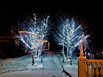 Criando um feriado ou uma decoração interessante com guirlandas: 145+ (fotos) de decoração deslumbrante, janelas, árvores de Natal, paredes. Idéias arrojadas que podem mudar seu interior. 4 master classes
