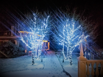 Criando um feriado ou uma decoração interessante com guirlandas: 145+ (fotos) de decoração deslumbrante, janelas, árvores de Natal, paredes. Idéias arrojadas que podem mudar seu interior. 4 master classes