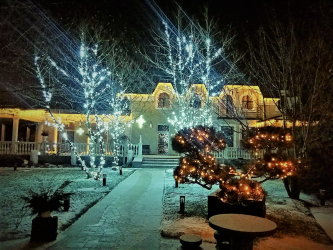 Criando um feriado ou uma decoração interessante com guirlandas: 145+ (fotos) de decoração deslumbrante, janelas, árvores de Natal, paredes. Idéias arrojadas que podem mudar seu interior. 4 master classes