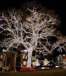 Criando um feriado ou uma decoração interessante com guirlandas: 145+ (fotos) de decoração deslumbrante, janelas, árvores de Natal, paredes. Idéias arrojadas que podem mudar seu interior. 4 master classes