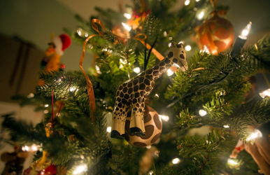 Criando um feriado ou uma decoração interessante com guirlandas: 145+ (fotos) de decoração deslumbrante, janelas, árvores de Natal, paredes. Idéias arrojadas que podem mudar seu interior. 4 master classes