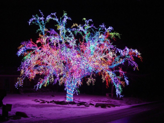 Criando um feriado ou uma decoração interessante com guirlandas: 145+ (fotos) de decoração deslumbrante, janelas, árvores de Natal, paredes. Idéias arrojadas que podem mudar seu interior. 4 master classes