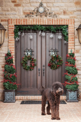 Idéias legais com as próprias mãos: Decorações na porta para todas as ocasiões (80 + Foto). Design sazonal e temático (+ Avaliações)