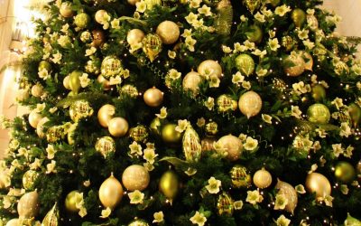 Como elegantemente e lindamente decorar a árvore de Natal para o novo 2018? Que tipo de brinquedos você precisa pegar? (Mais de 175 fotos)