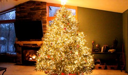 Como elegantemente e lindamente decorar a árvore de Natal para o novo 2018? Que tipo de brinquedos você precisa pegar? (Mais de 175 fotos)