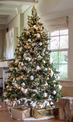 Como elegantemente e lindamente decorar a árvore de Natal para o novo 2018? Que tipo de brinquedos você precisa pegar? (Mais de 175 fotos)