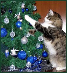 Como elegantemente e lindamente decorar a árvore de Natal para o novo 2018? Que tipo de brinquedos você precisa pegar? (Mais de 175 fotos)