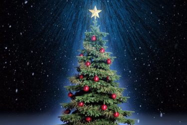 Como elegantemente e lindamente decorar a árvore de Natal para o novo 2018? Que tipo de brinquedos você precisa pegar? (Mais de 175 fotos)