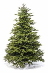 Como elegantemente e lindamente decorar a árvore de Natal para o novo 2018? Que tipo de brinquedos você precisa pegar? (Mais de 175 fotos)