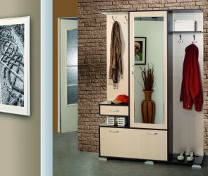 Armário embutido no corredor: mais de 170 fotos de design e idéias. Aprendendo a organizar o espaço