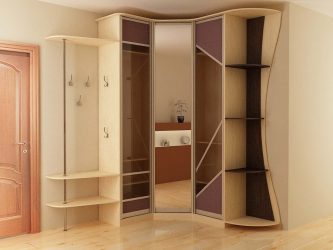 Armário embutido no corredor: mais de 170 fotos de design e idéias. Aprendendo a organizar o espaço