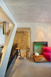 Acabamento de pedra interior (215 Foto): Segredos de um interior forte