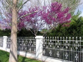 390 + Fotos de Cercas para Casas Particulares e Herdades. Todos os critérios e escolhas