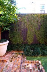 390 + Fotos de Cercas para Casas Particulares e Herdades. Todos os critérios e escolhas