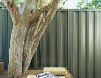 390 + Fotos de Cercas para Casas Particulares e Herdades. Todos os critérios e escolhas