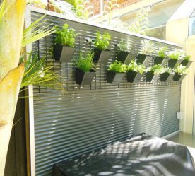 390 + Fotos de Cercas para Casas Particulares e Herdades. Todos os critérios e escolhas