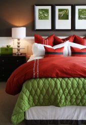 Como fazer um quarto verde interior o melhor lugar para relaxar? 175+ (Fotos) Opções de design (cortinas, papel de parede, paredes)