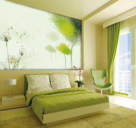 Como fazer um quarto verde interior o melhor lugar para relaxar? 175+ (Fotos) Opções de design (cortinas, papel de parede, paredes)