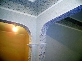 خلفية السائل في المناطق الداخلية من الغرف العادية (150+ صور): ميزات الاستخدام
