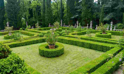 A cobertura no país - suas próprias mãos: a seleção de plantas, plantio e cuidado. Rápido crescimento, perene e evergreen - o que é melhor escolher? (105+ fotos)