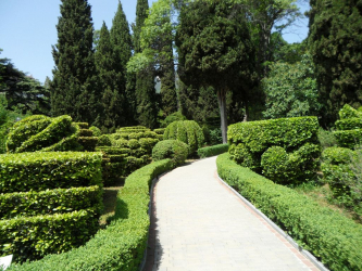 A cobertura no país - suas próprias mãos: a seleção de plantas, plantio e cuidado. Rápido crescimento, perene e evergreen - o que é melhor escolher? (105+ fotos)